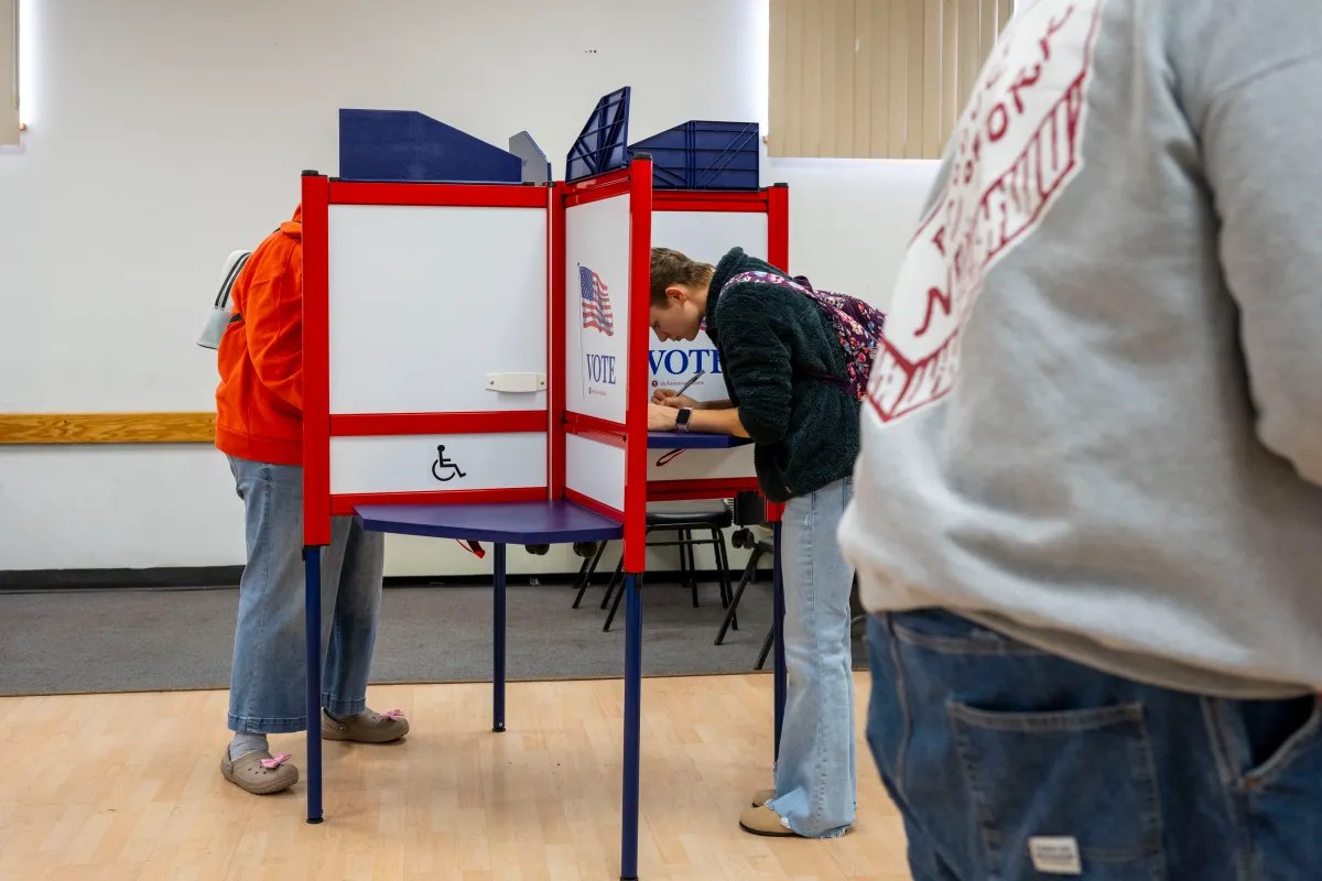 People voting in private booths at a polling station.