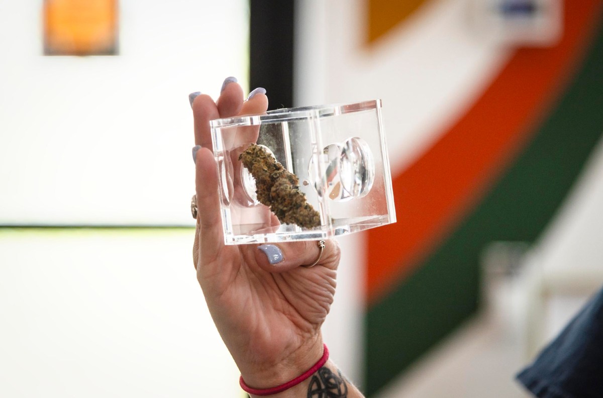 A person holds up a clear case displaying a single cannabis bud. The background is slightly blurred with a mix of colors.