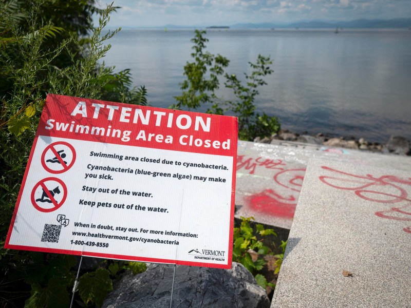 A sign by a lakeshore reads "Attention: Swimming Area Closed" due to cyanobacteria, warning people and pets to stay out of the water.