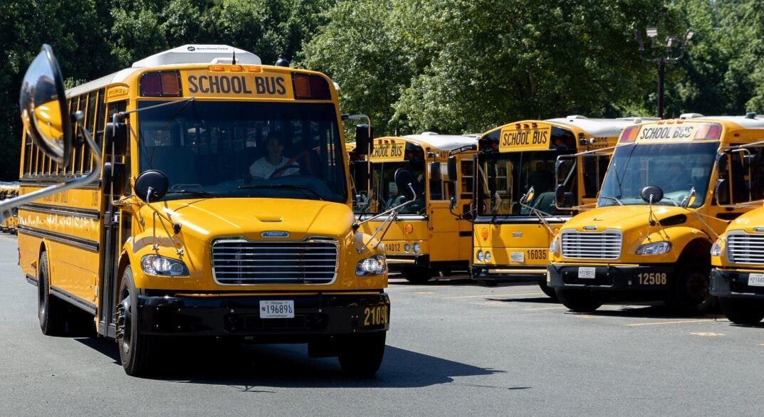 Several yellow school buses parked in a lot, with trees in the background.