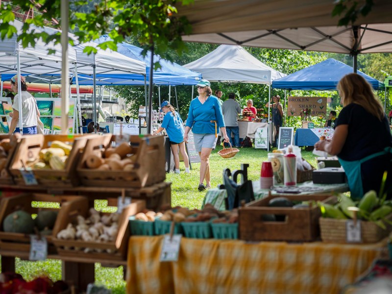 People walking and shopping at an outdoor farmers market with various stalls selling produce and goods under tents.