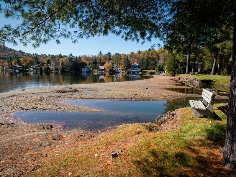 A bench overlooks a lakeside view with low water levels, surrounded by trees and autumn foliage. Houses are visible across the water.