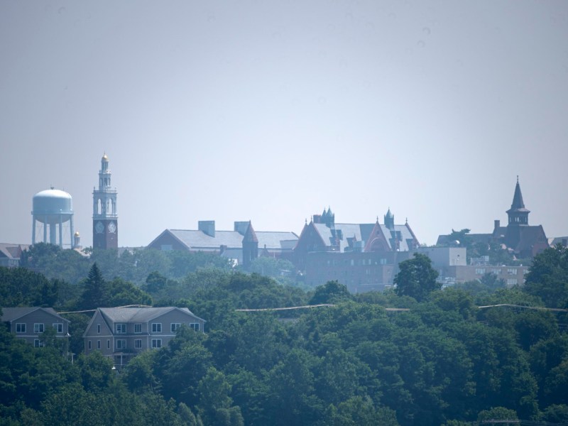 A distant view of a town skyline with historic buildings, a clock tower, and a water tower behind a foreground of dense green trees under a hazy sky.