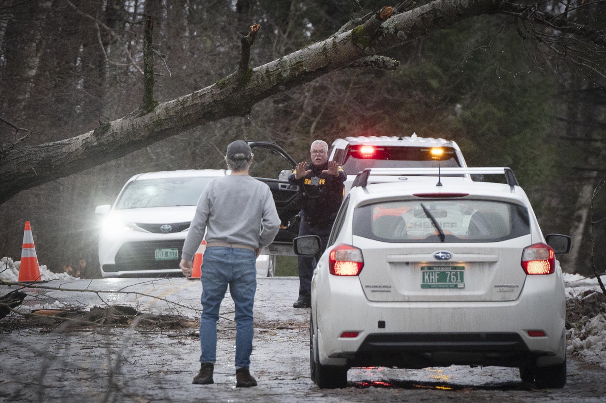 A man is standing next to a fallen tree in a wooded area.