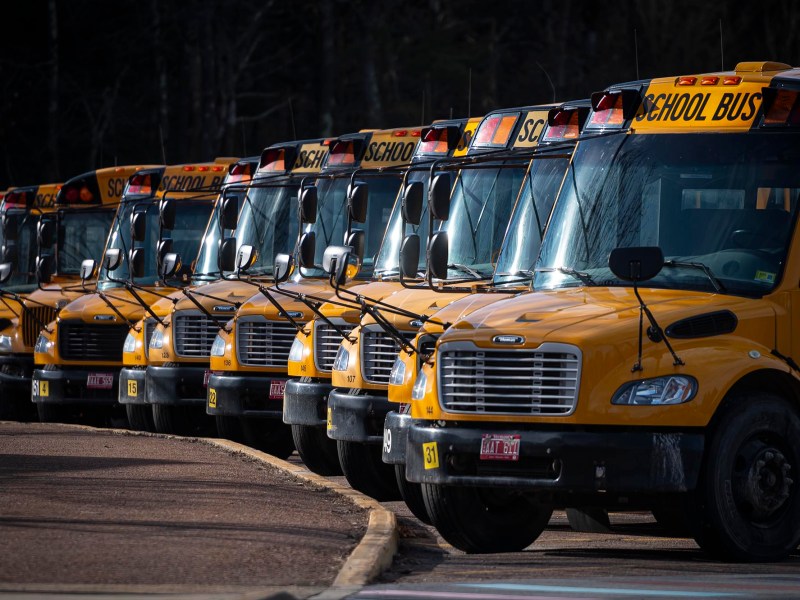 A row of yellow school buses parked next to each other.