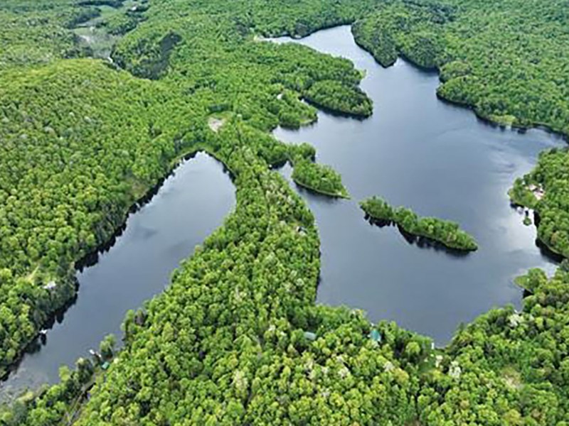 Aerial view of a forested landscape with winding lakes and dense green trees under a cloudy sky.